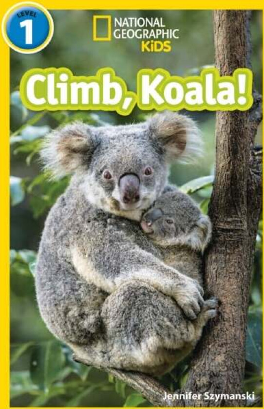 Climb, Koala! av Jennifer Szymanski, National Geographic Kids