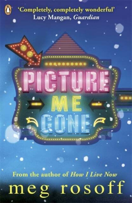 Picture Me Gone av Meg Rosoff