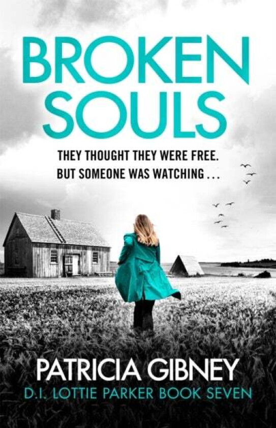 Broken Souls av Patricia Gibney