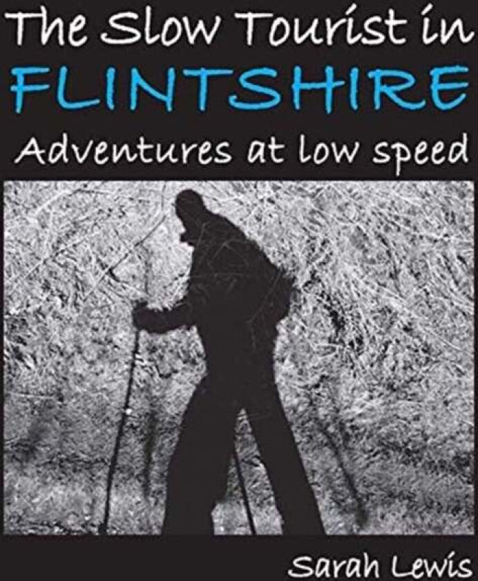 The Slow Tourist in Flintshir av Sarah Lewis