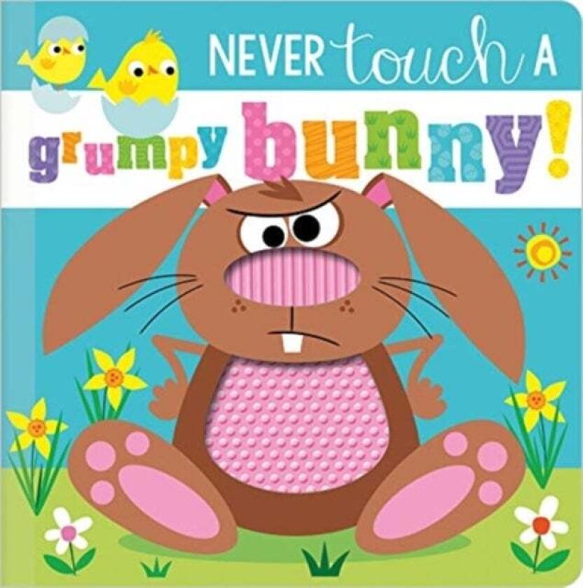 Never Touch a Grumpy Bunny! av Rosie Greening