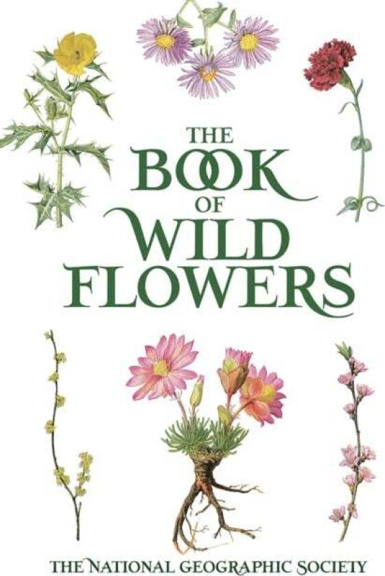 Book of Wild Flowers av 0 The National Geographic