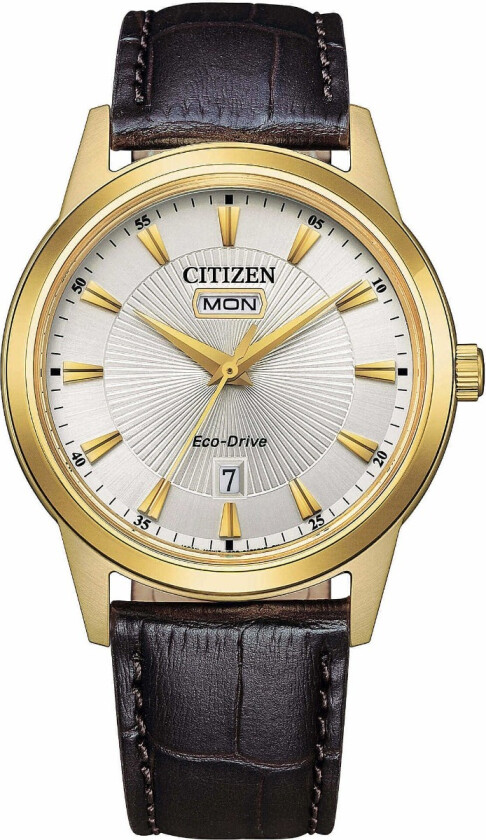 Classic Elegant AW0102-13A - Kvarts - Gull - Herreklokker - Skinn - Mineral