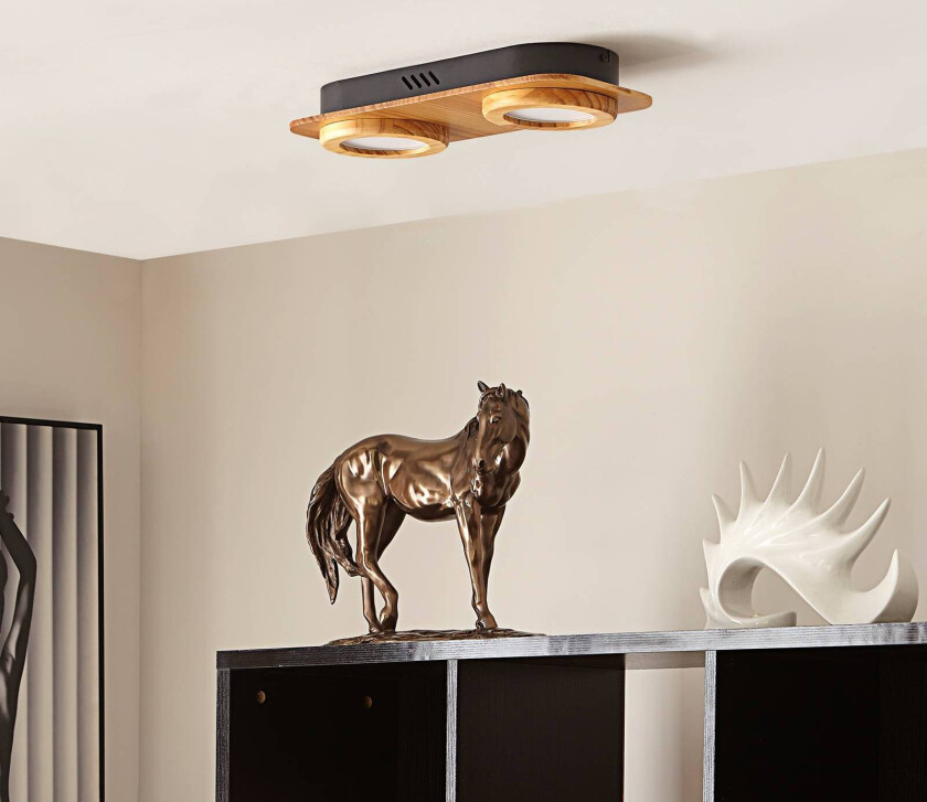 Joren LED-spot tre 2 lyskilder rund