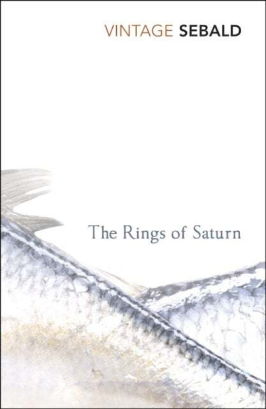 The Rings of Saturn av W.G. Sebald
