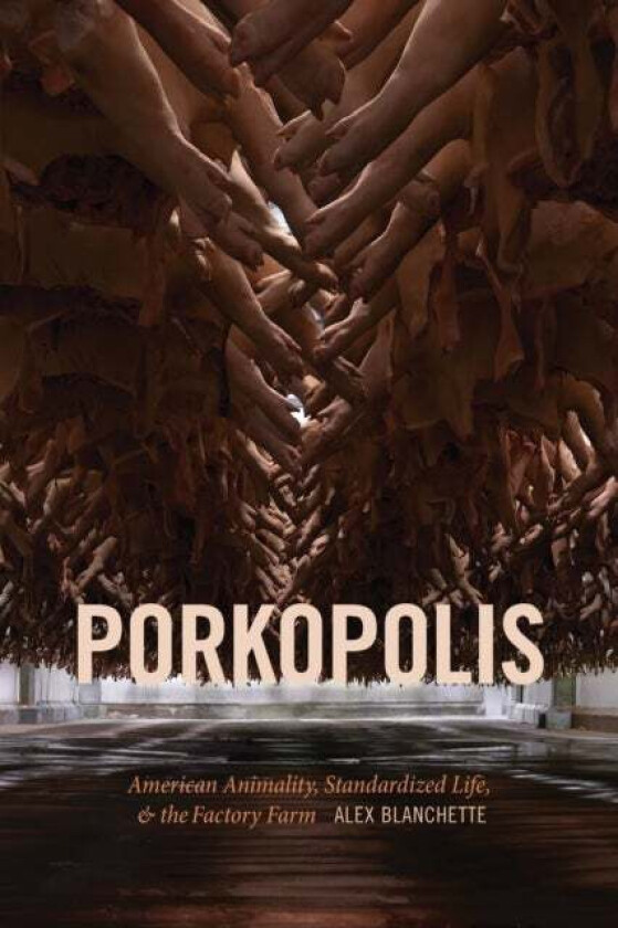 Porkopolis av Alex Blanchette