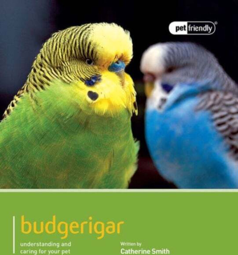 Budgeriegars - Pet Friendly av Smith Catherine