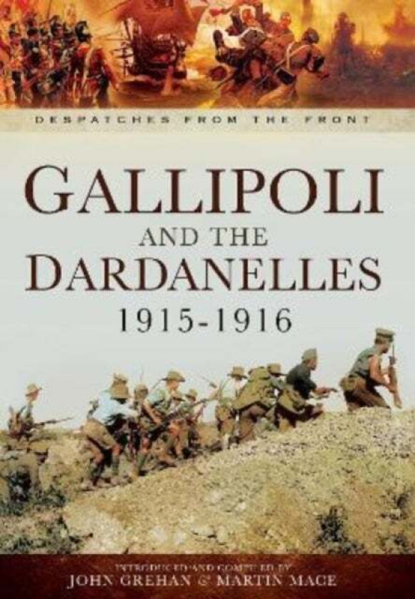 Gallipoli and the Dardanelles 1915-1916 av Martin Mace, John Grehan