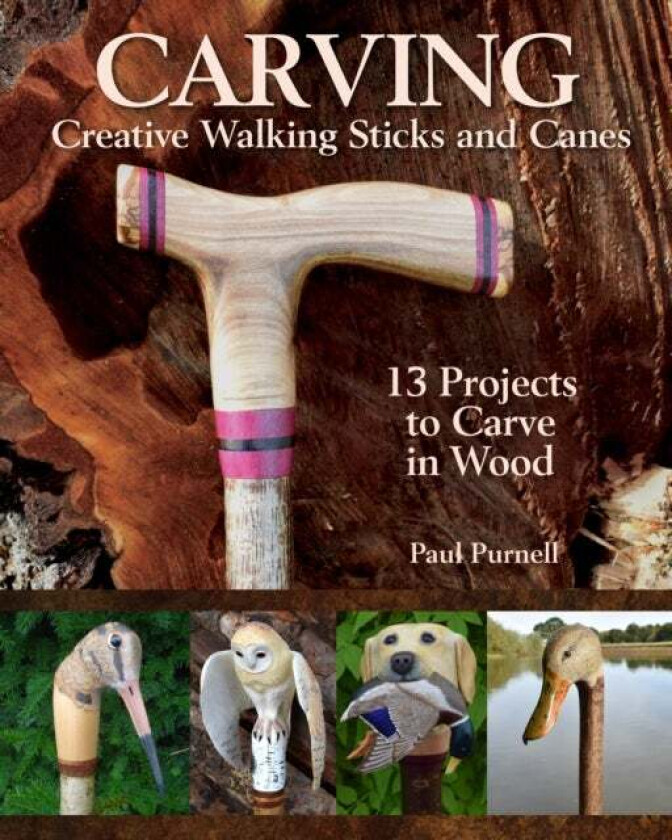 Carving Creative Walking Sticks and Canes av Paul Purnell