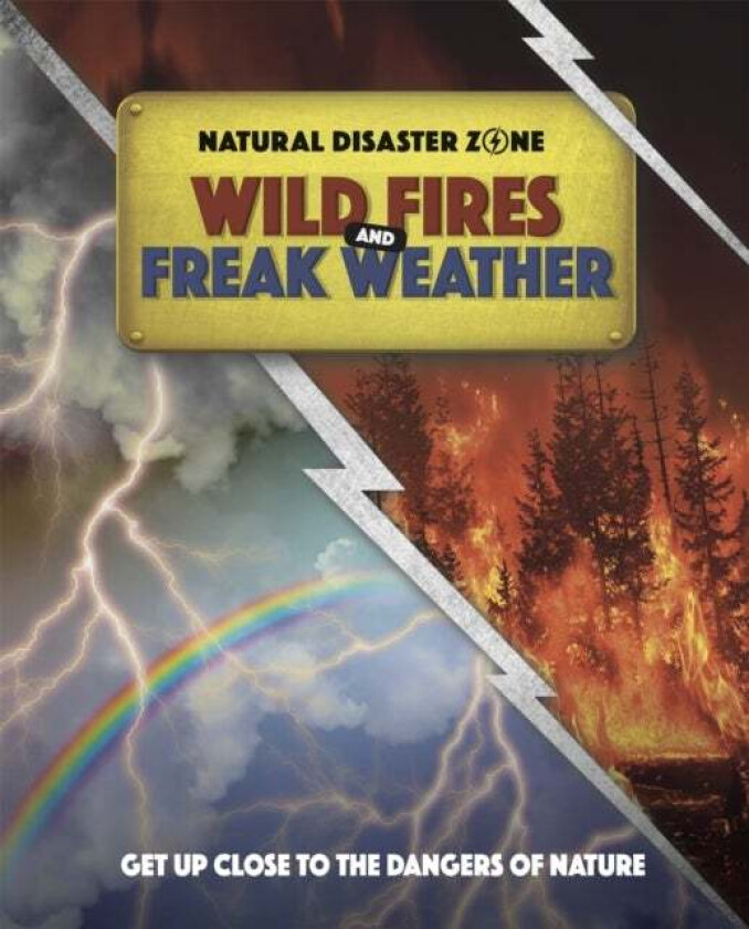 Natural Disaster Zone: Wildfires and Freak Weather av Ben Hubbard