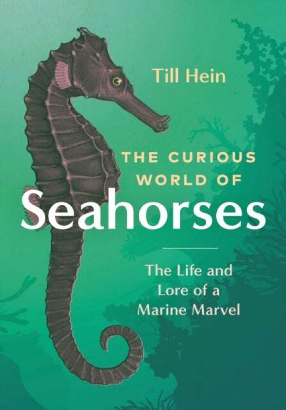 The Curious World of Seahorses av Till Hein