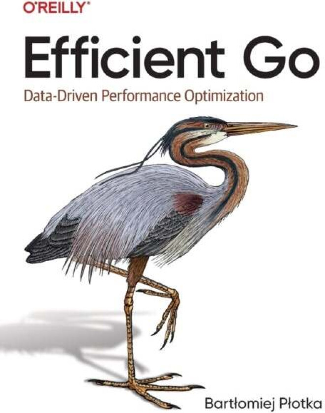 Efficient Go av Bartlomiej Plotka