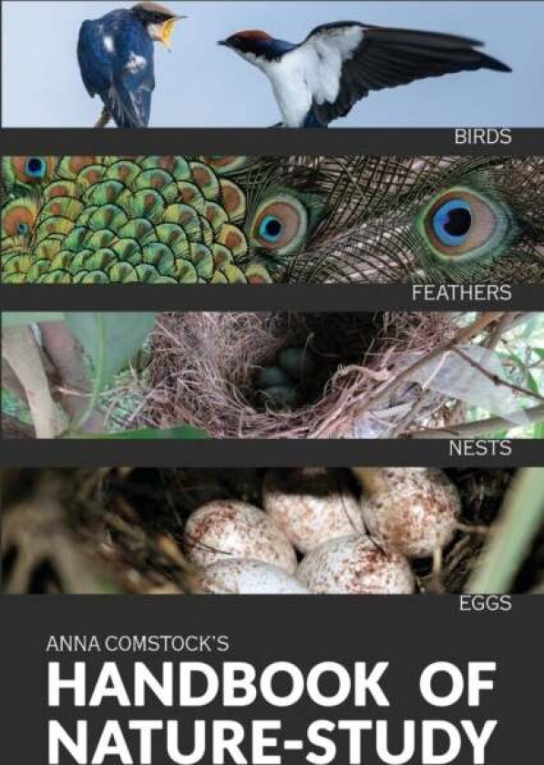The Handbook Of Nature Study in Color - Birds av Anna B Comstock