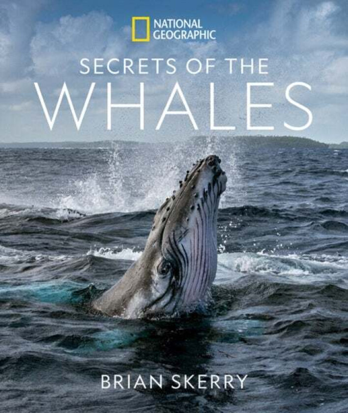 Secrets Of The Whales Av Brian Skerry