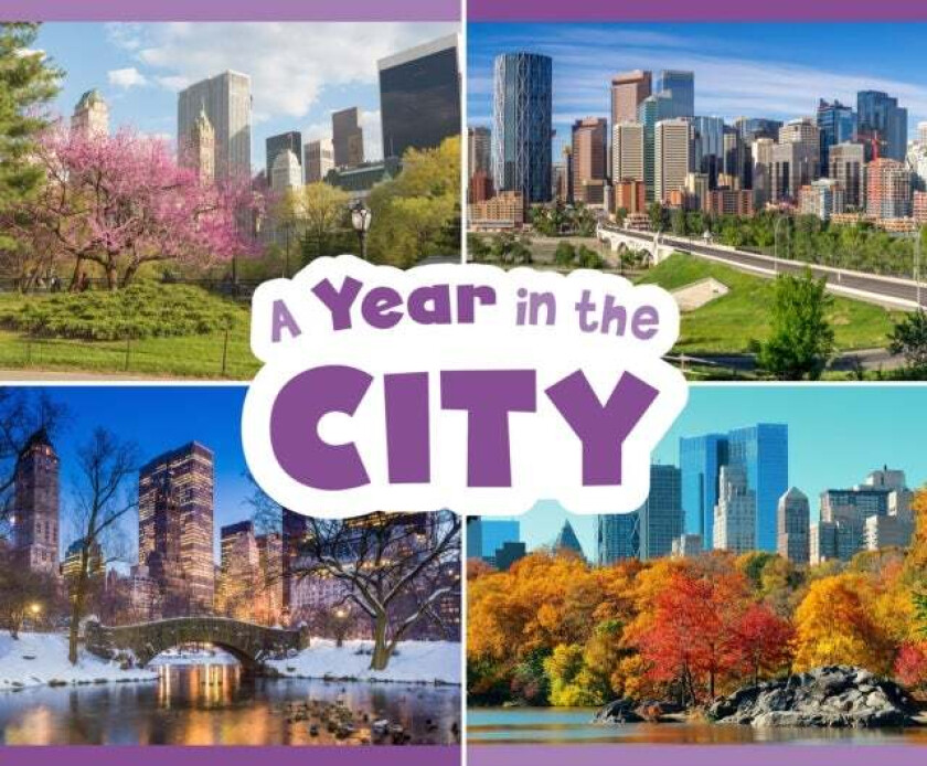 A Year in the City av Christina Mia Gardeski