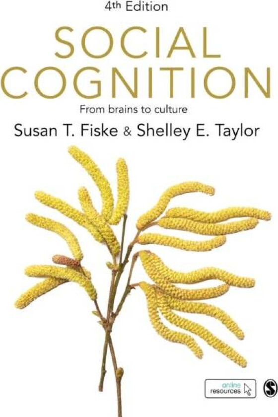 Social Cognition av Susan T. Fiske, Shelley E. Taylor