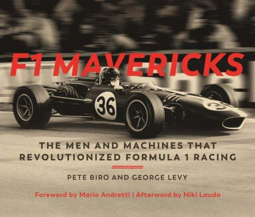 F1 Mavericks av Pete Biro, George Levy