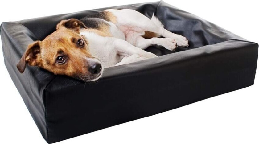 Bia Bed Ortho Hundeseng Svart (45x45x12,5 cm)
