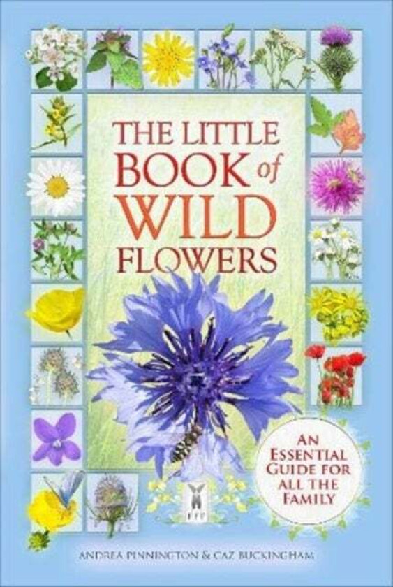 The Little Book of Wild Flowers av Caz Buckingham, Andrea Pinnington