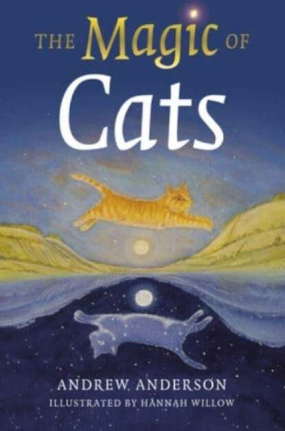 Magic of Cats, The av Andrew Anderson