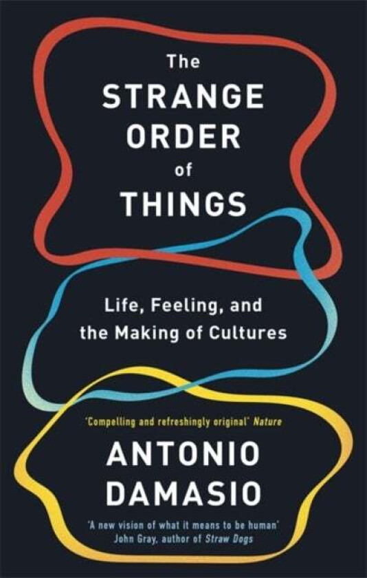 The Strange Order Of Things av Antonio Damasio