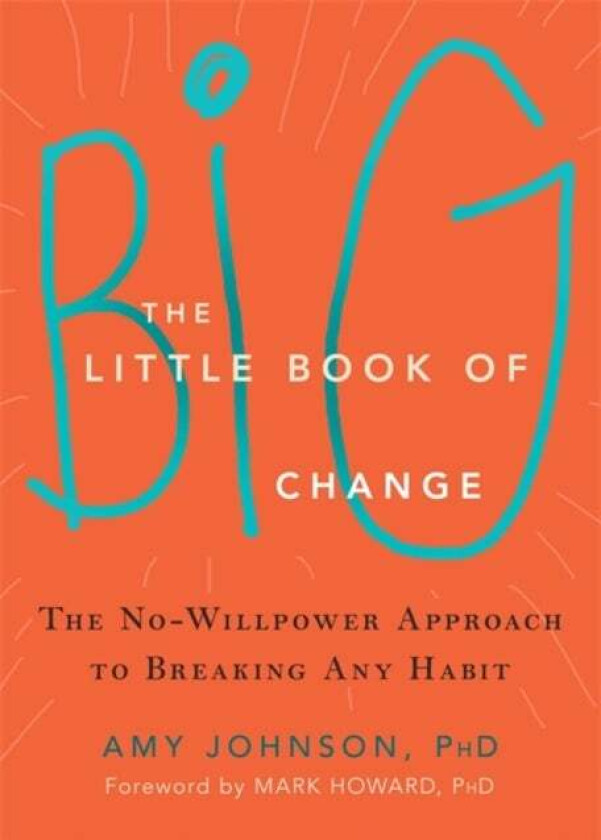 The Little Book of Big Change av Amy Johnson