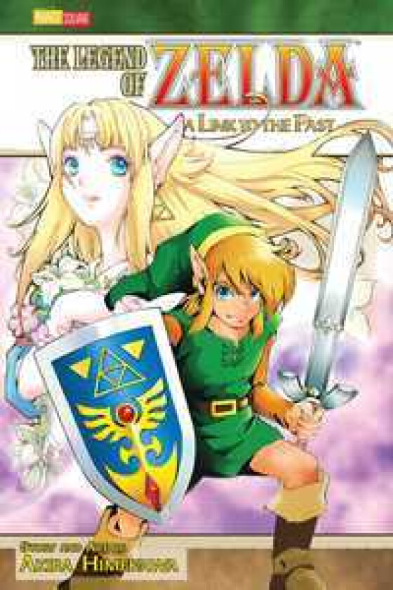 The Legend of Zelda, Vol. 9 av Akira Himekawa