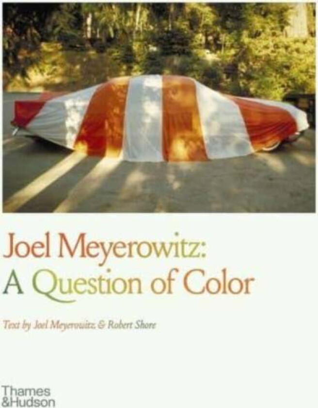 Joel Meyerowitz: A Question of Color av Joel Meyerowitz