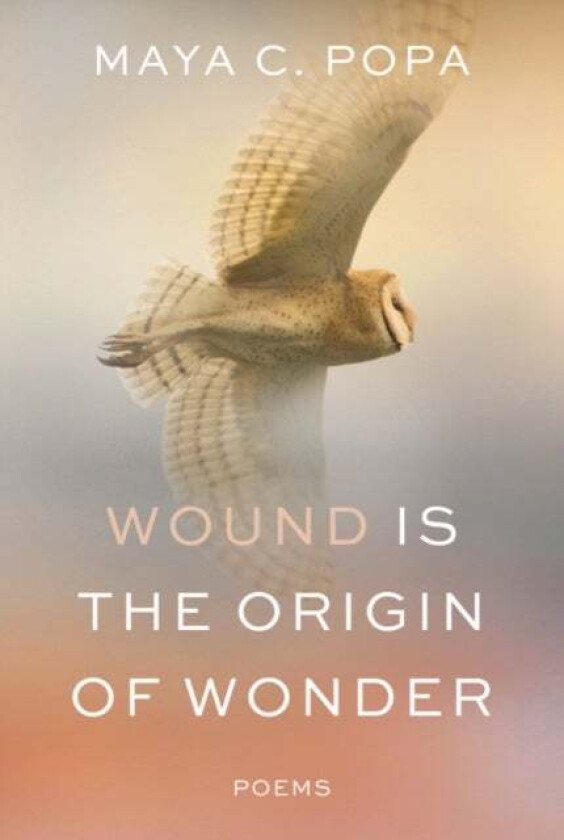 Wound Is The Origin Of Wonder - Poems