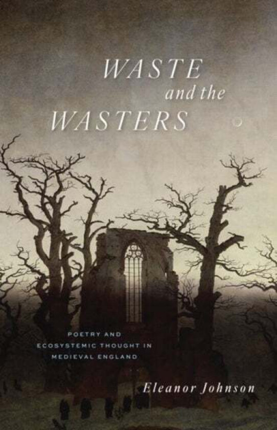 Waste and the Wasters av Eleanor Johnson