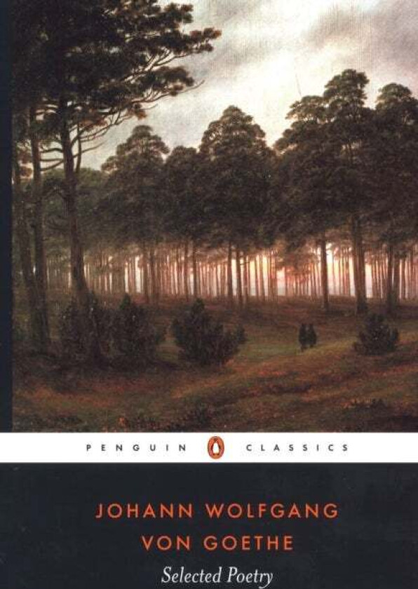 Selected Poetry av Goethe