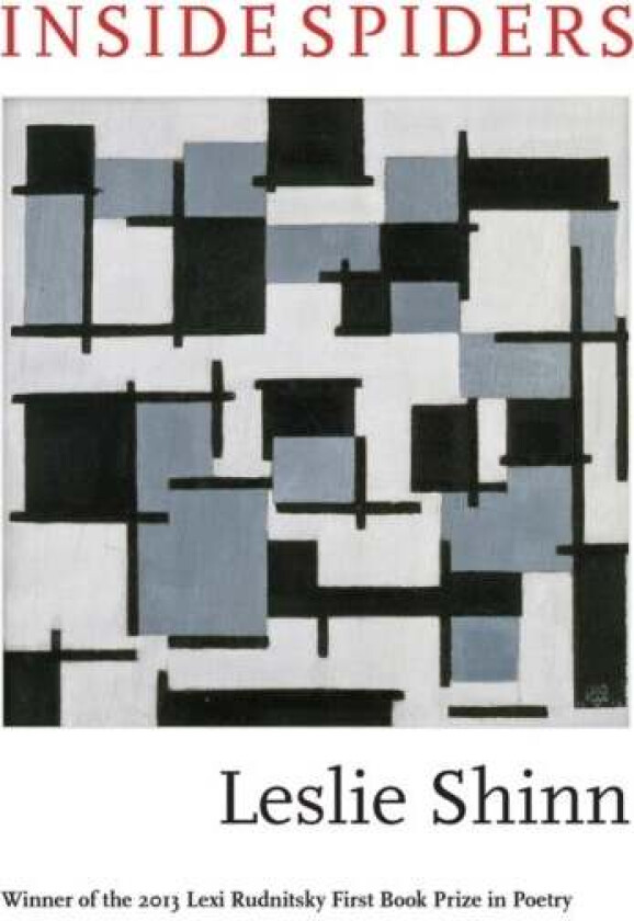 Inside Spiders Av Leslie Shinn