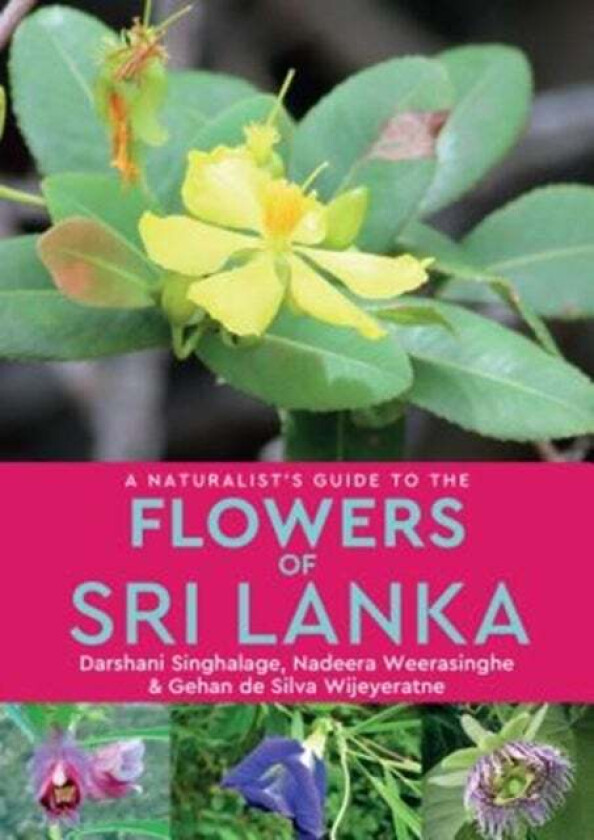 A Naturalist's Guide to the Flowers of Sri Lanka av Darshani Singhalage, Nadeera Weerasinghe, Gehan de Silvia Wijeyeratne