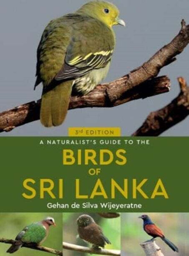 A Naturalist's Guide to the Birds of Sri Lanka (3rd edition) av Gehan de Silva Wijeyeratne