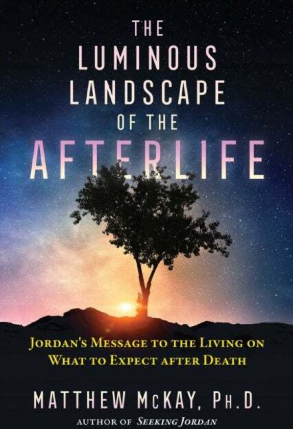 The Luminous Landscape of the Afterlife av Matthew McKay