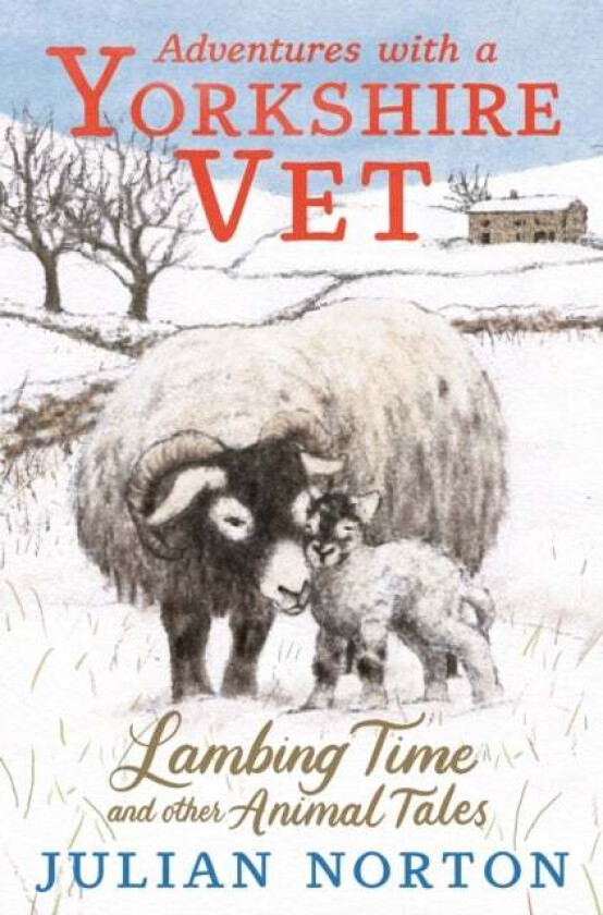 Adventures with a Yorkshire Vet: Lambing Time and Other Animal Tales av Julian Norton