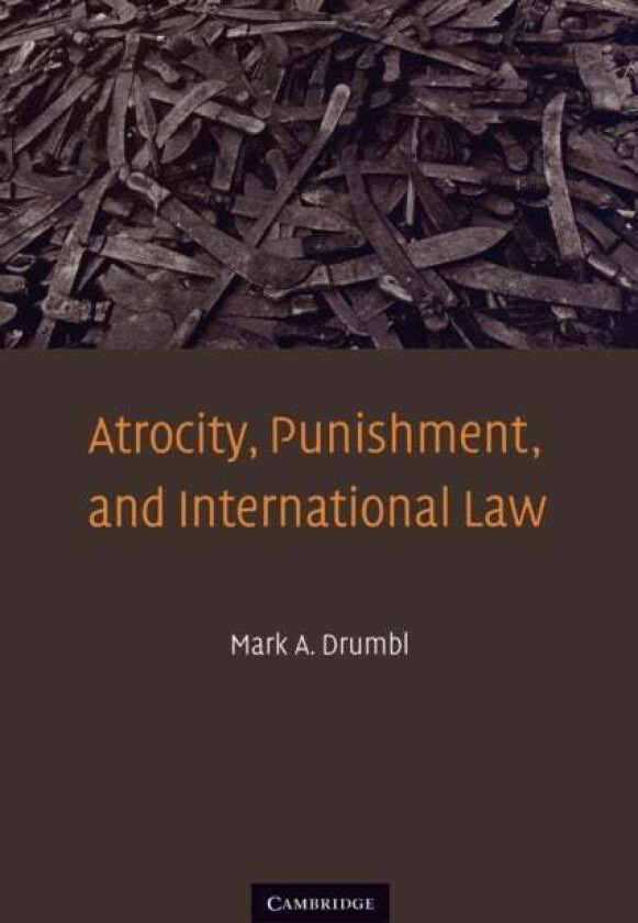 Atrocity, Punishment, and International Law av Mark A. (Washington and Lee University Virginia) Drumbl