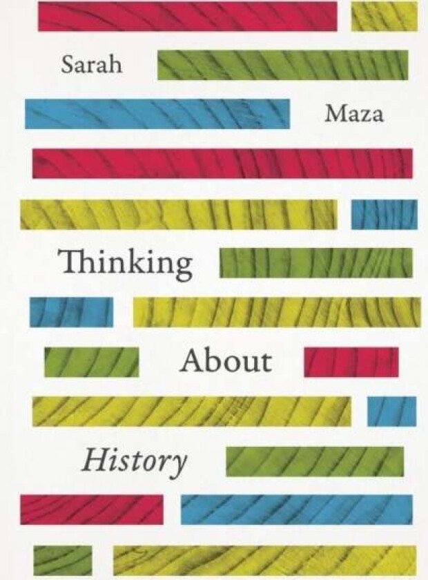 Thinking About History av Sarah (Northwestern University) Maza