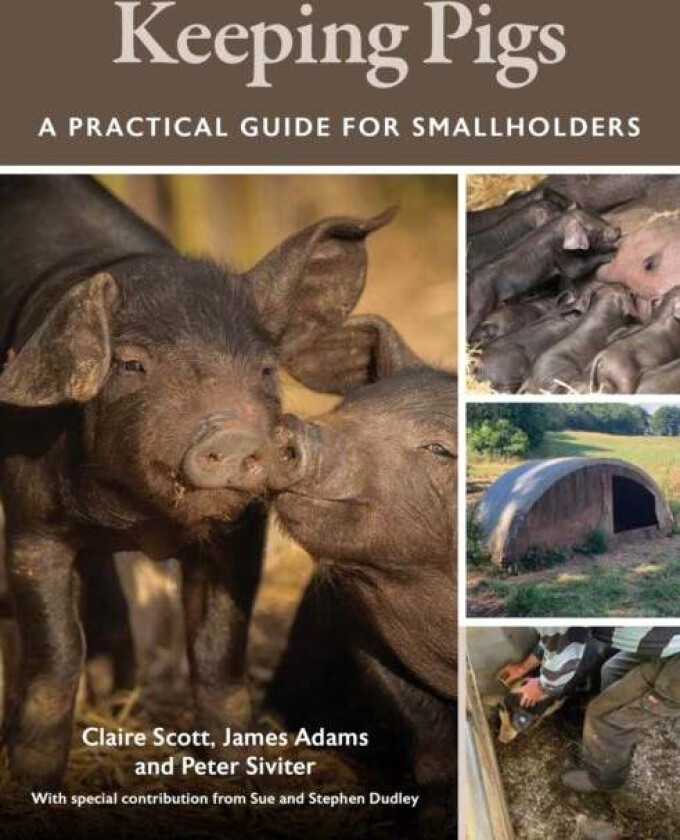 Keeping Pigs av Claire Scott, James BVSc DipACVIM (LAIM) PG Cert Vet Ed (FHEA) MRCVS Adams, Peter BVetMed MRCVS Siviter