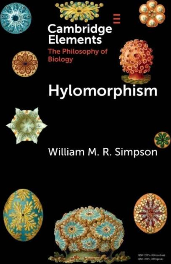 Hylomorphism av William M. R. (University of Texas Austin and University of Cambridge) Simpson