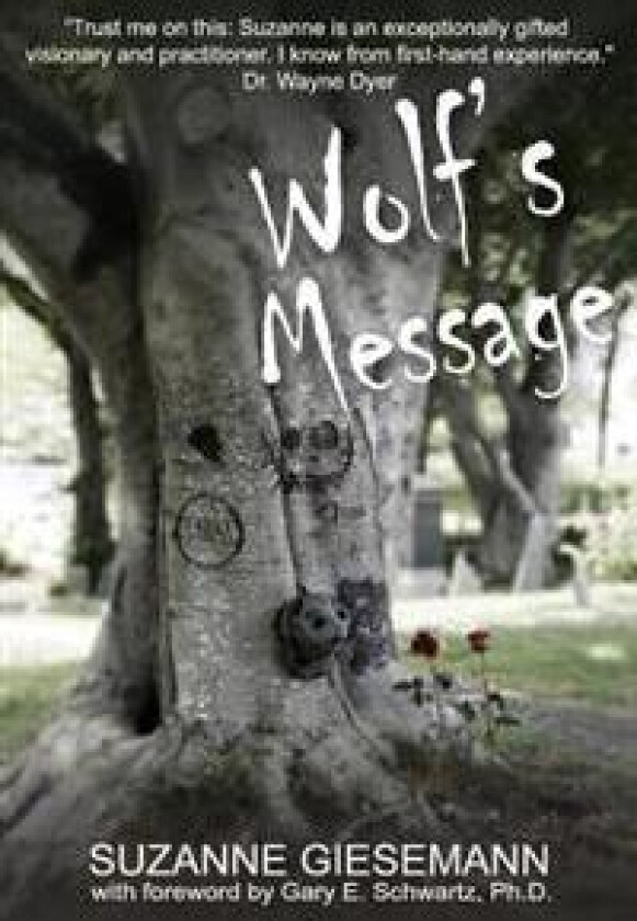 Wolf's Message av Suzanne Giesemann