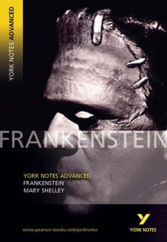 YNA2 Frankenstein everything you need to catch up, study and prepare for and 2023 and 2024 exams and av Mary Shelley