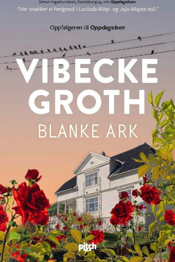 Blanke Ark Av Vibecke Groth