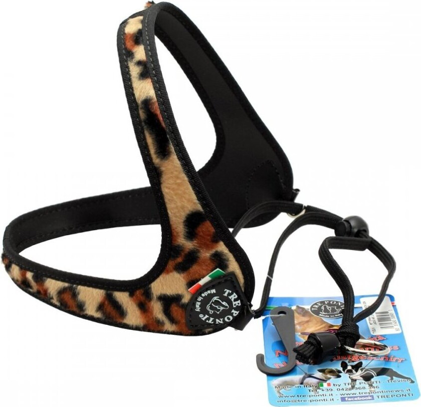 Tre Ponti Harness Leopard/band nr.1 (2,5)
