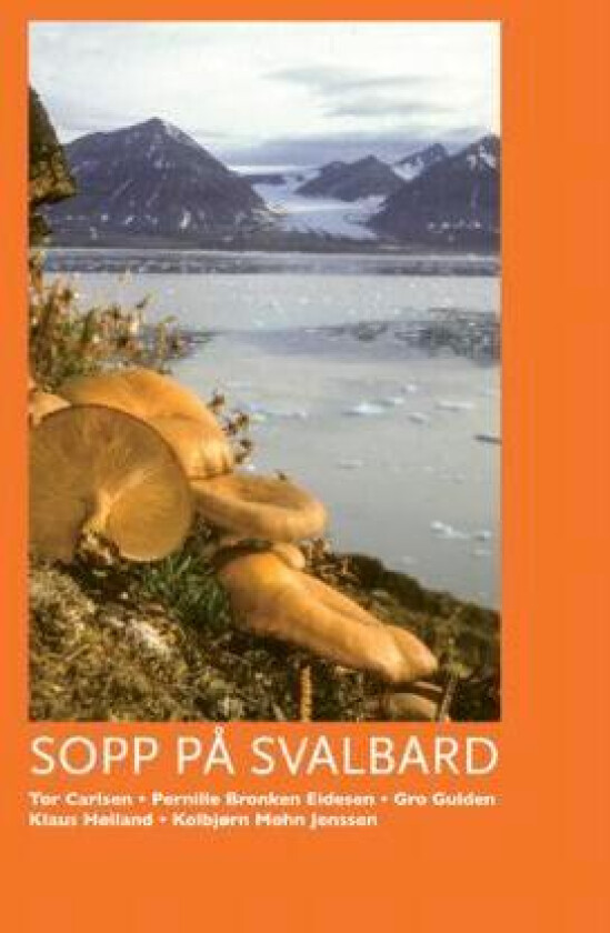 Sopp på Svalbard av Tor Carlsen, Pernille Bronken Eidesen, Gro Gulden, Klaus Høiland, Kolbjørn Mohn Jenssen