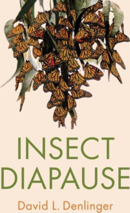 Insect Diapause av David L. (Ohio State University) Denlinger