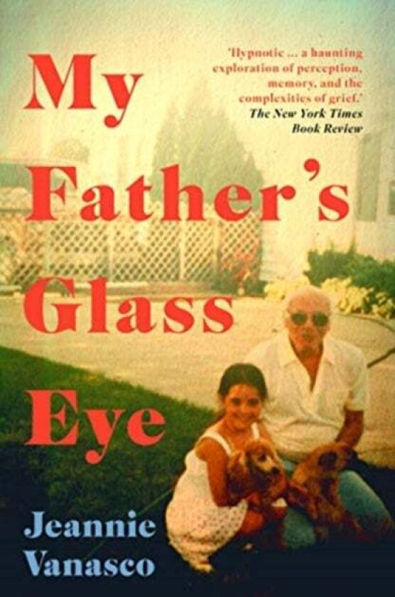 My Father's Glass Eye av Jeannie Vanasco