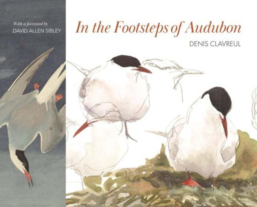 In the Footsteps of Audubon av Denis Clavreul