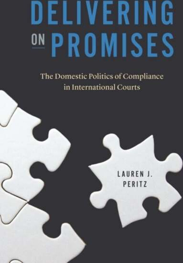 Delivering on Promises av Lauren J. Peritz
