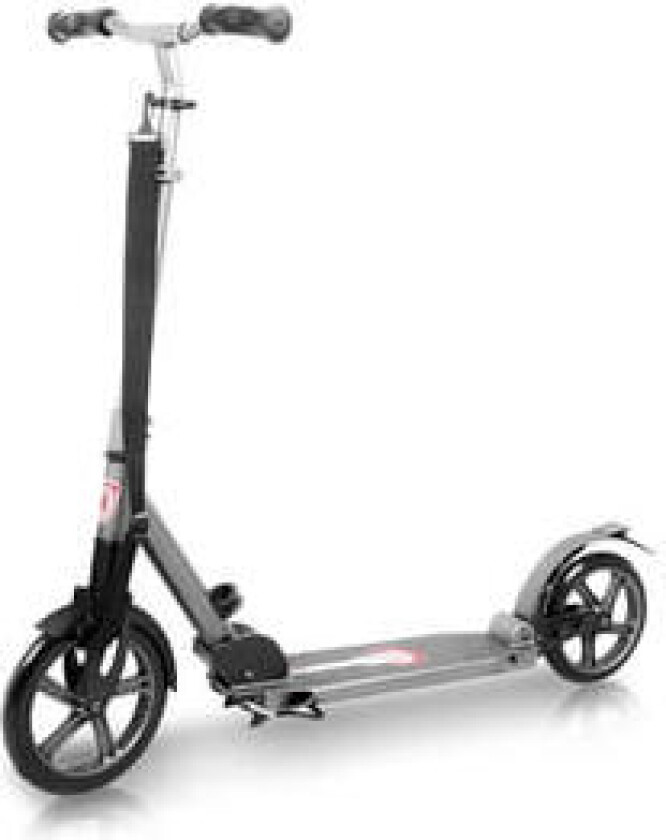 Sparkesykkel Scooter Authico, Worker